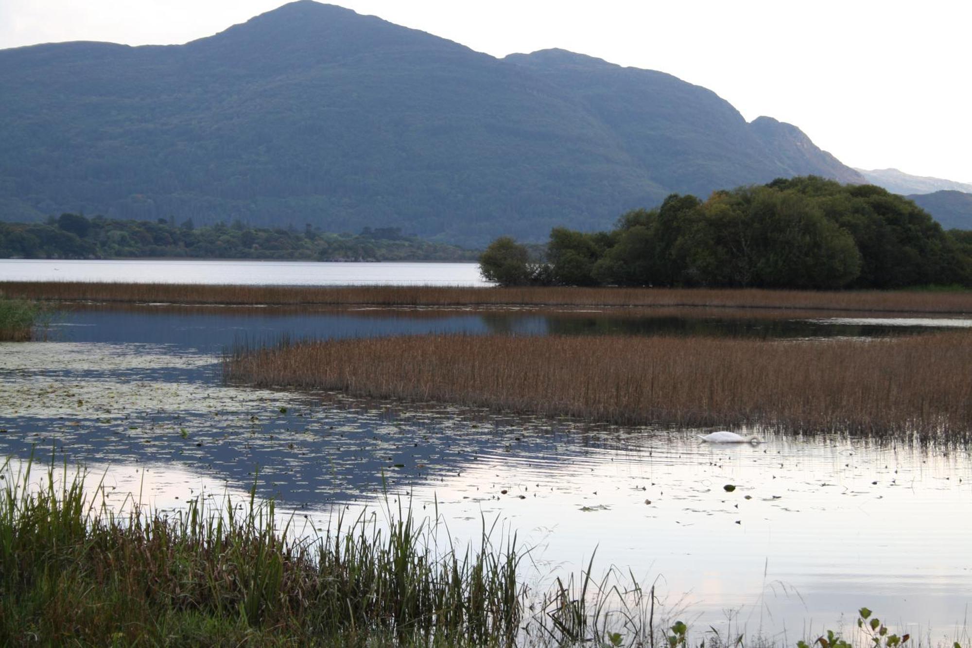 Innisfallen Holiday Homes By Trident Holiday Homes Killarney Bilik gambar